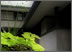 frank lloyd wright