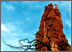 red rocks