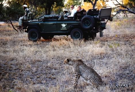 Inyati Game Drive