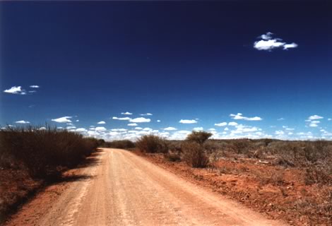 Pista - Kruger National Park