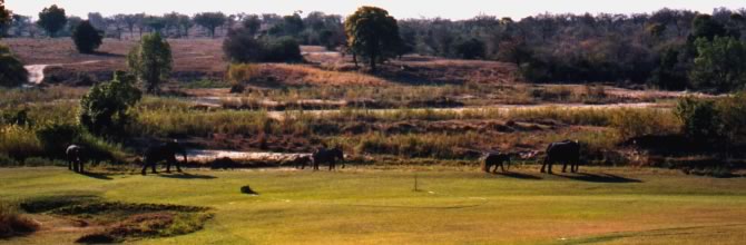 Elefanti davanti al lodge  - Inyati Private Game Reserve