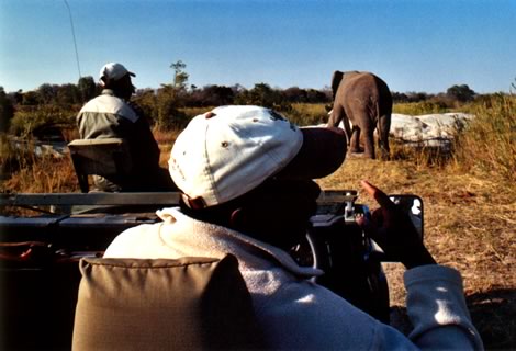 Game drive - Inyati Private Game Reserve