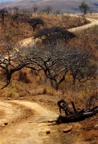 Umfolozi - Hluhluwe-Umfolozi Park