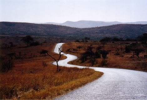 Hluhluwe - Hluhluwe-Umfolozi Park
