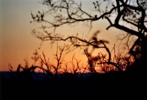 Tramonto - Hluhluwe-Umfolozi Park