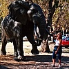 Letaba