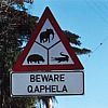 Pericoli a Cape Vidal