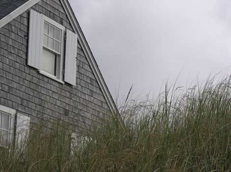 cape cod