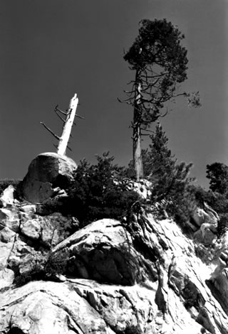 paesaggio in bianco e nero