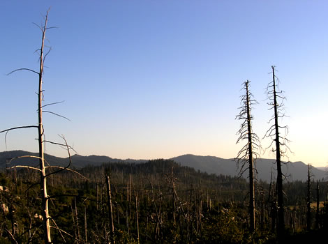 big oak flat road
