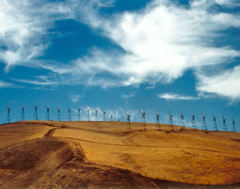 windmills