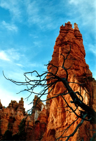 red rocks